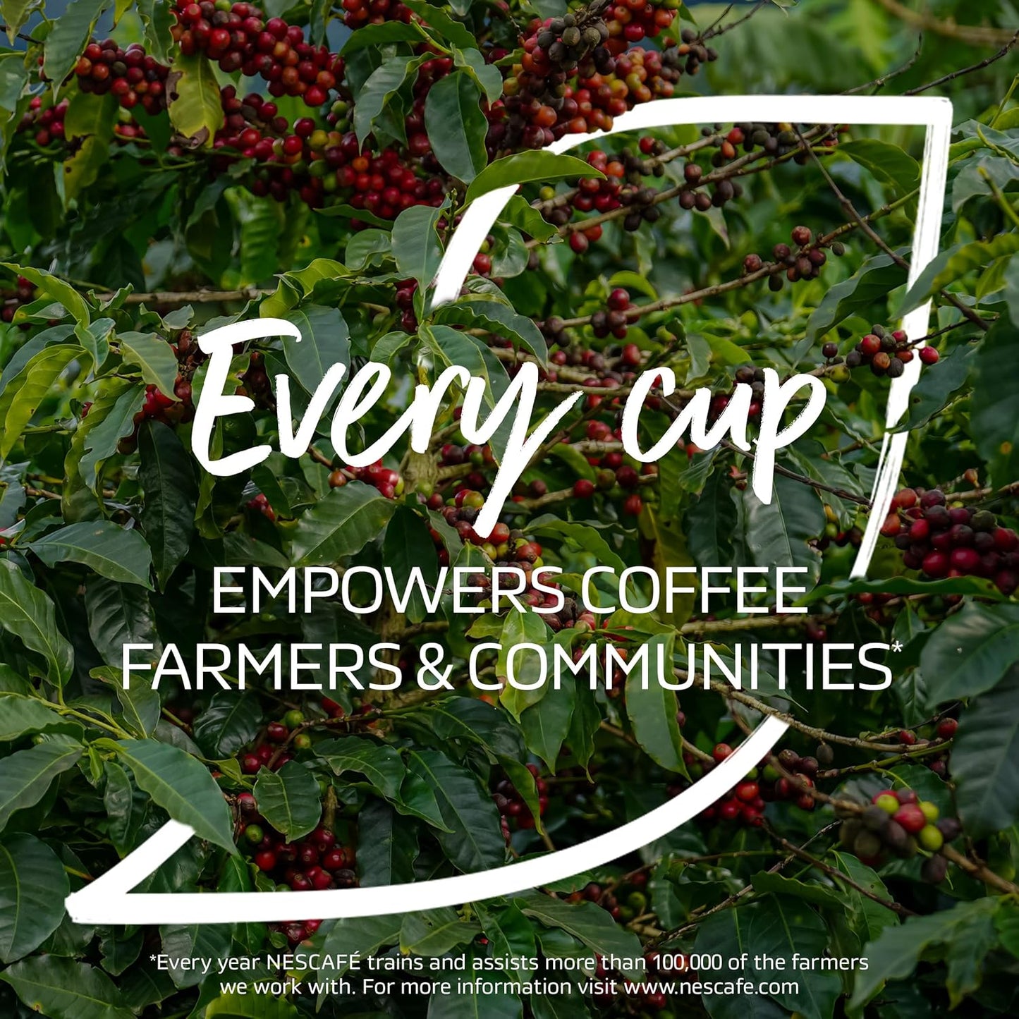 NESCAFÉ Azera Americano Instant Coffee 500g Tin