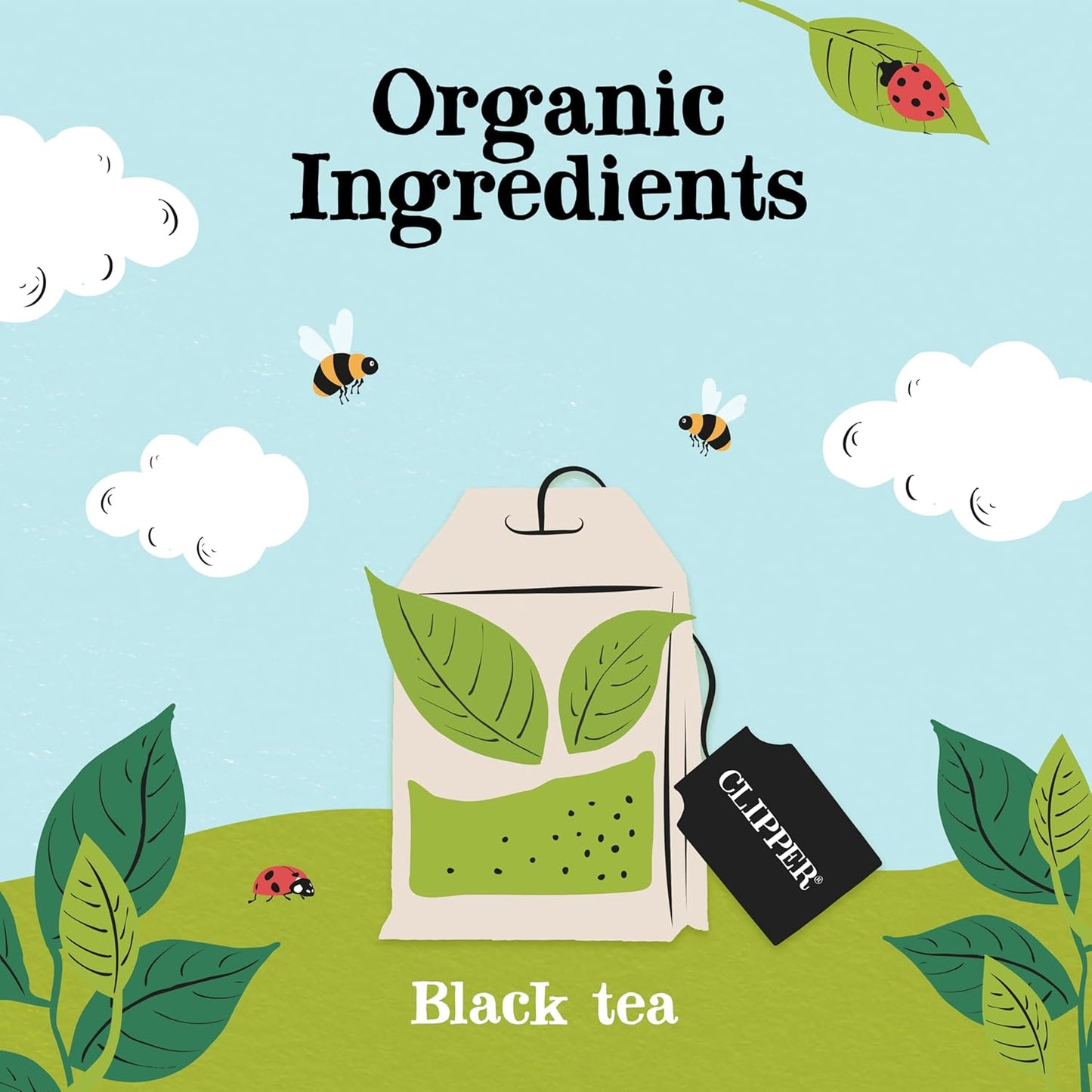 Clipper Organic Everyday Fairtrade Teabags 80 - Black Tea Biodegradable