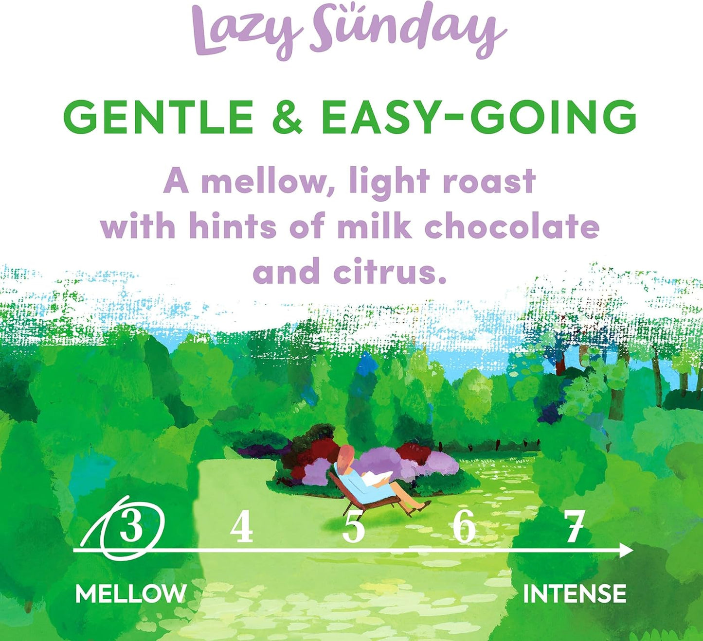 Taylors of Harrogate Lazy Sunday Ground Coffee 200g - Pack of 6 (1.2kg Total)