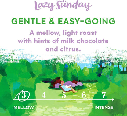 Taylors of Harrogate Lazy Sunday Ground Coffee 200g - Pack of 6 (1.2kg Total)