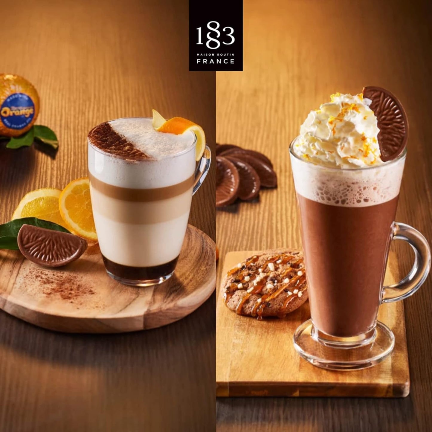 Premium Terry's Chocolate Orange Syrup by 1883 Maison Routin - 1L