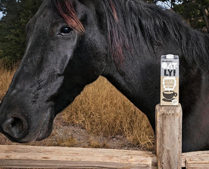 OATLY Organic Barista Oat Drink Long Life 6x1L - Premium Plant-Based Milk Alternative