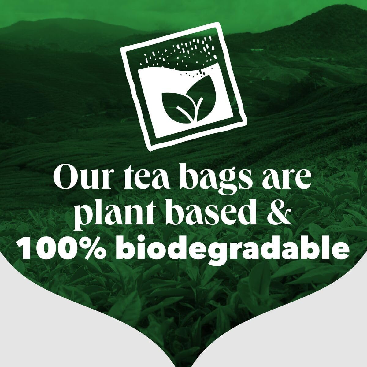 PG Tips Original Black Tea Bags 1100 - Bulk Catering Pack Biodegradable