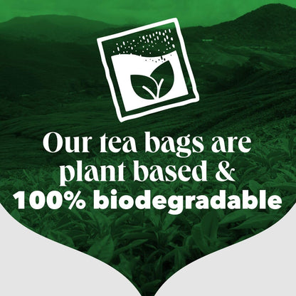 PG Tips Original Black Tea Bags 1100 - Bulk Catering Pack Biodegradable