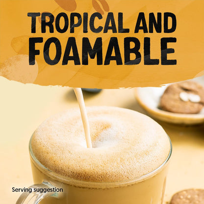 Alpro Barista Coconut Plant-Based Long Life Drink - Great for Coffee - Foam Vegan Dairy Free & Lactose Free - 1L (Pack of 8)