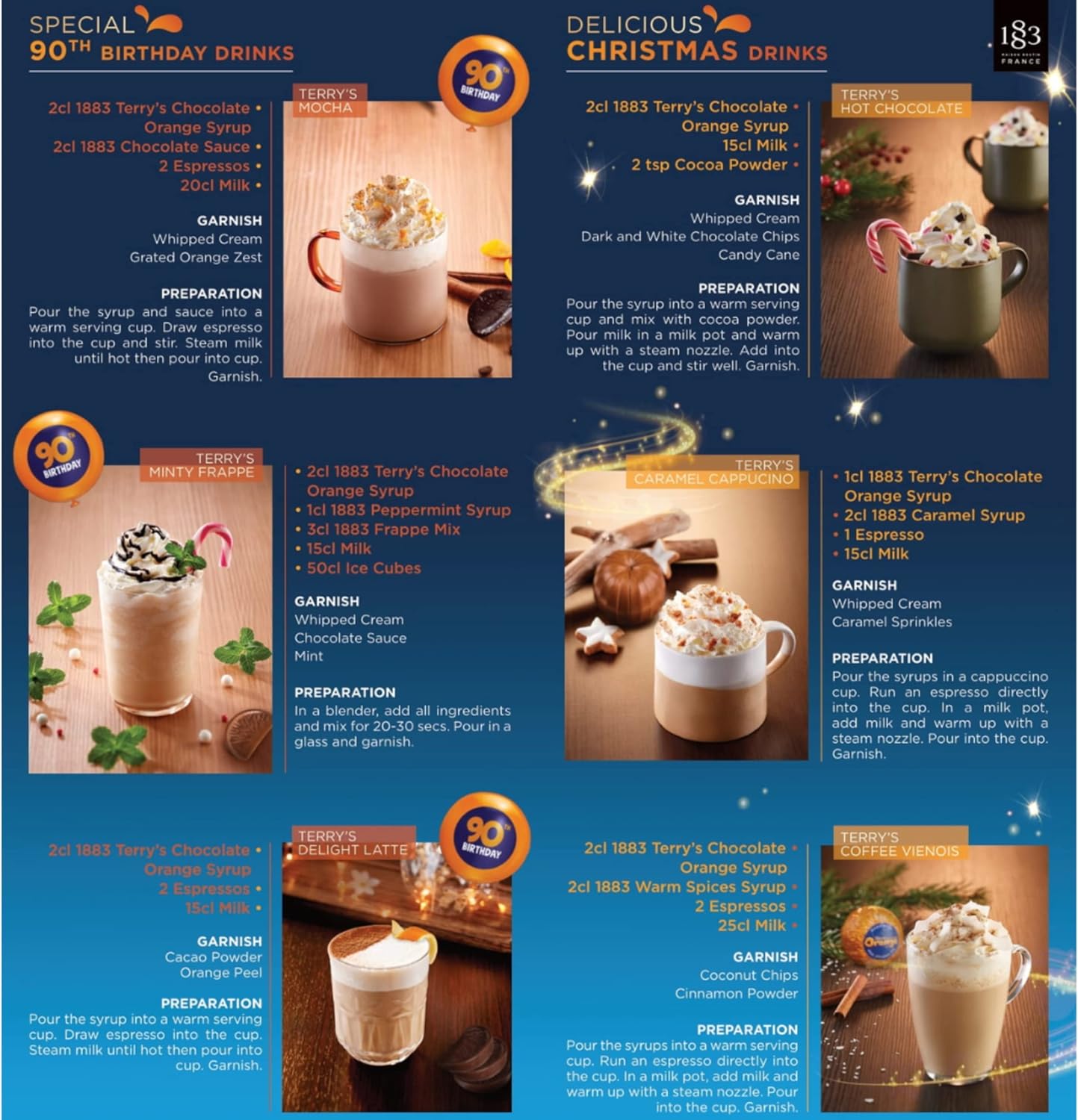 Premium Terry's Chocolate Orange Syrup by 1883 Maison Routin - 1L