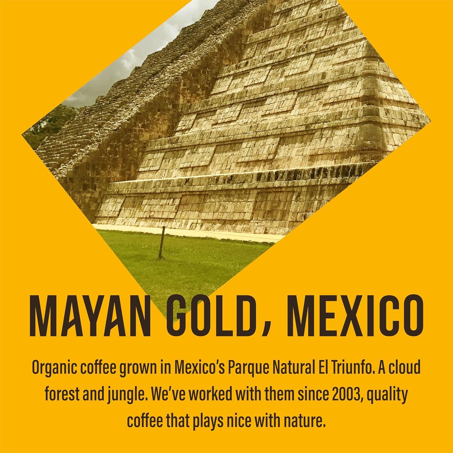 Cafédirect Mayan Gold Organic Ground Coffee 200g - Pack of 6 (1.2kg Total)