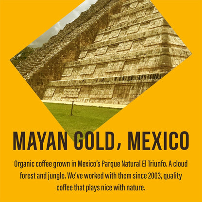 Cafédirect Mayan Gold Organic Ground Coffee 200g - Pack of 6 (1.2kg Total)