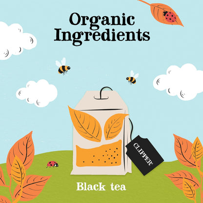 Clipper Tea Everyday Fairtrade Black Tea Bags 1120 - Bulk Catering Pack