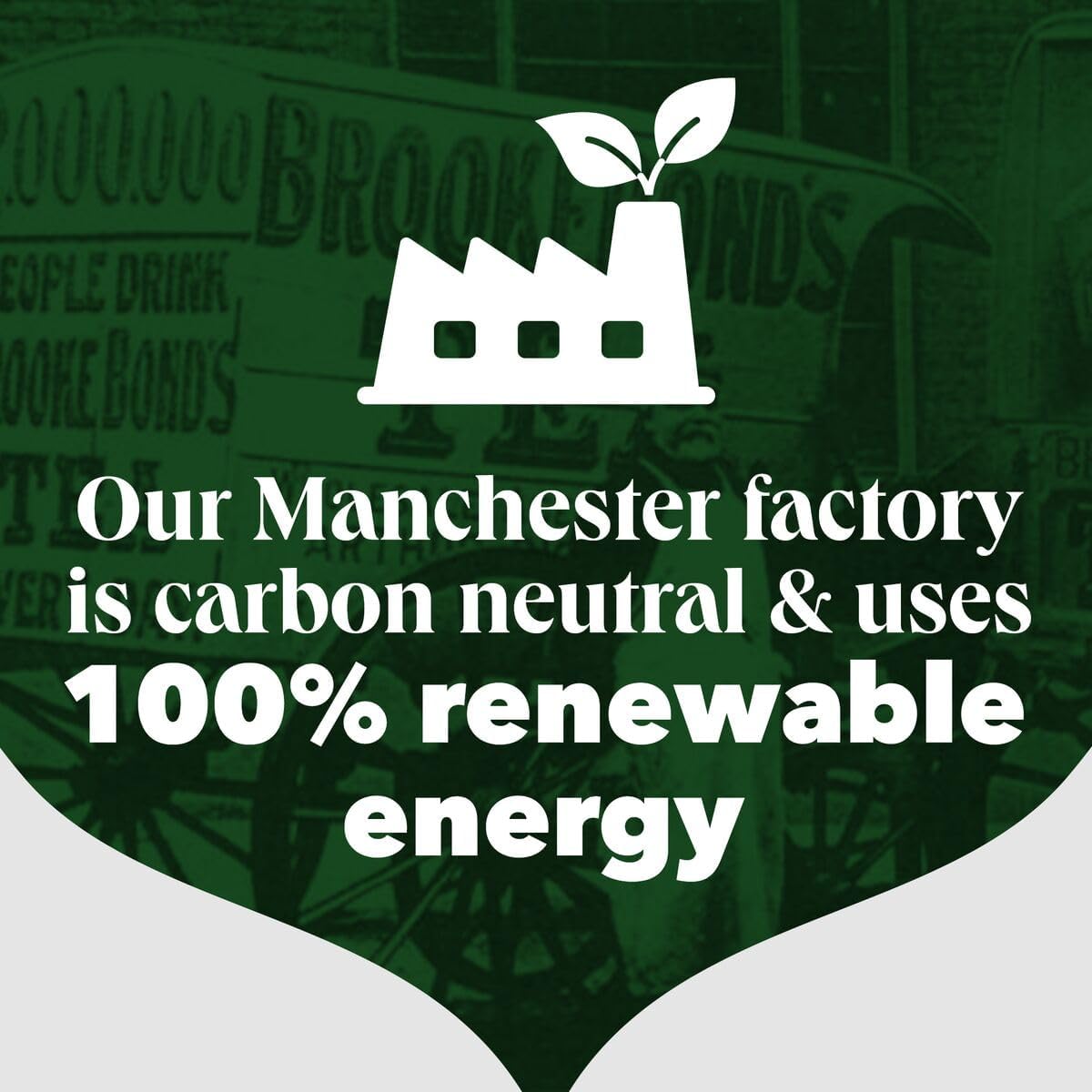 PG Tips Original Black Tea Bags 1100 - Bulk Catering Pack Biodegradable