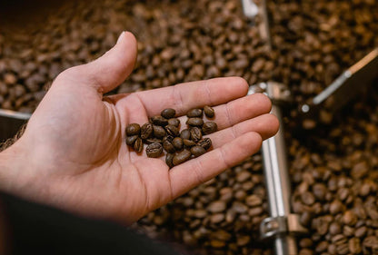 Terbodore Dutch Chocolate Coffee Beans 1kg - Mocha Flavoured Whole Beans Medium Roast-ExpressCo