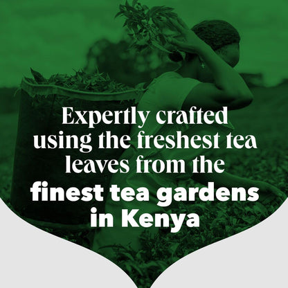 PG Tips Original Black Tea Bags 1100 - Bulk Catering Pack Biodegradable