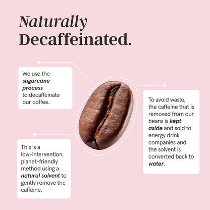 Grind Decaf Dark Coffee Pods – Pack of 100 Biodegradable Capsules – Naturally Decaffeinated – Nespresso® Original Compatible – Home Compostable – Barista Quality and Specialty Grade – Dark Roast-ExpressCo