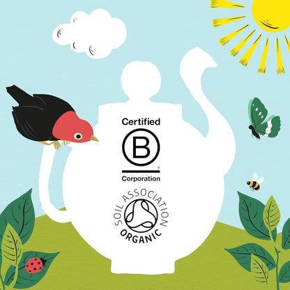 Clipper Organic Everyday Fairtrade Teabags 80 - Black Tea Biodegradable