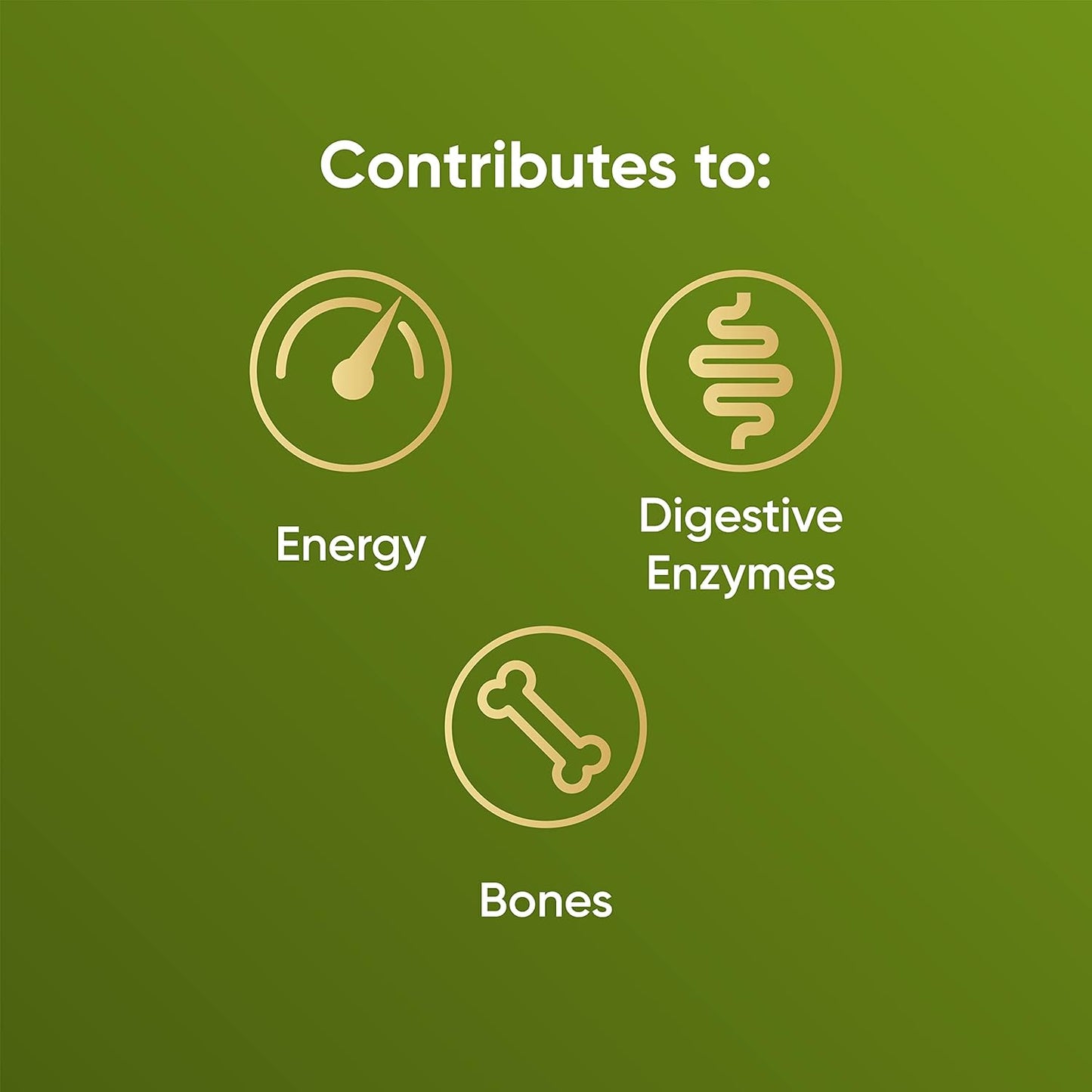 Naturya Matcha Superfood Latte 250g - Vegan Matcha Green Tea with Coconut & Reishi