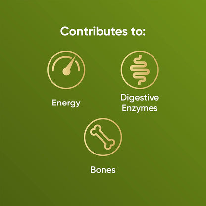 Naturya Matcha Superfood Latte 250g - Vegan Matcha Green Tea with Coconut & Reishi