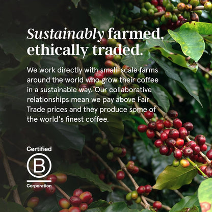 Grind Dark Blend Coffee Pods – Pack of 100 Biodegradable Capsules – 100% Arabica – Nespresso® Original Compatible Capsules – Home Compostable – Barista Quality and Specialty Grade – Dark Roast