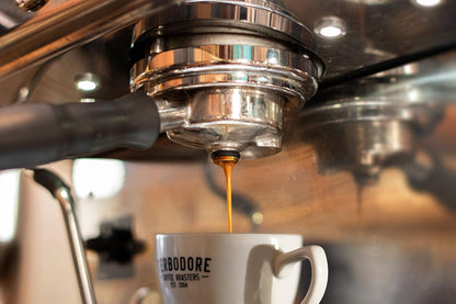 Terbodore Italian Hazelnut Coffee Beans 1kg - Hazelnut Flavoured Whole Beans Medium Roast