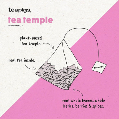 teapigs Everyday Brew Tea - Black Tea Bags Rich and Malty Blend 50 Temples
