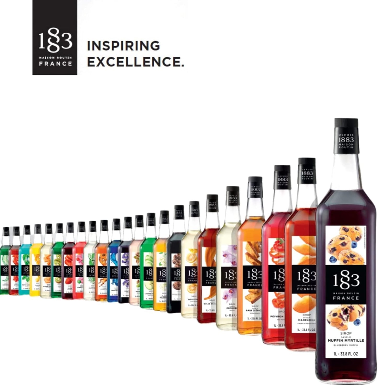 Premium Terry's Chocolate Orange Syrup by 1883 Maison Routin - 1L