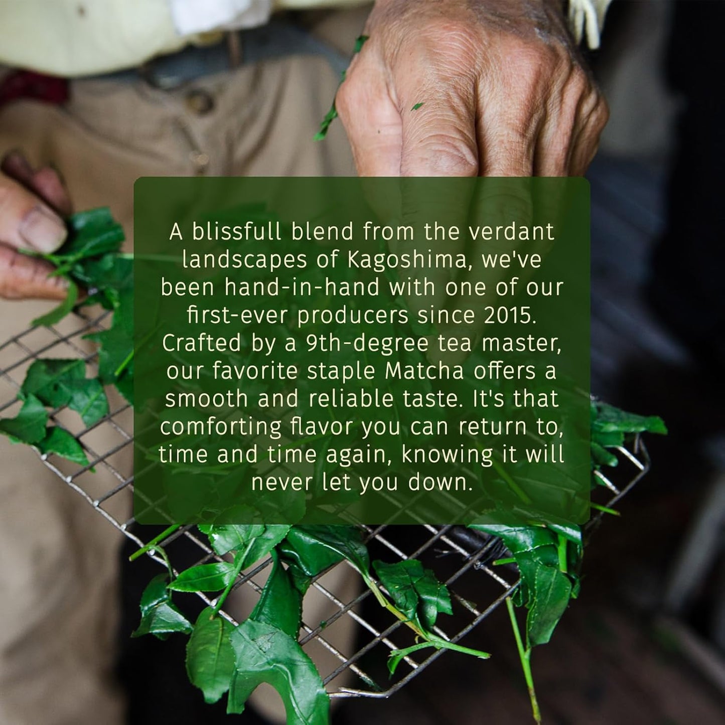 Midori Spring EMERALD Organic Ceremonial Matcha 100g - Chef's Choice Vegan