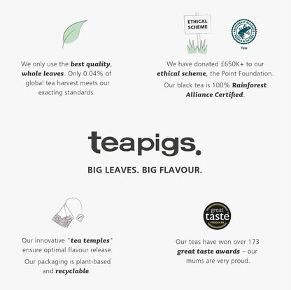 teapigs Peppermint Tea - Caffeine-Free Mint Tea 50 Temples Whole Leaves