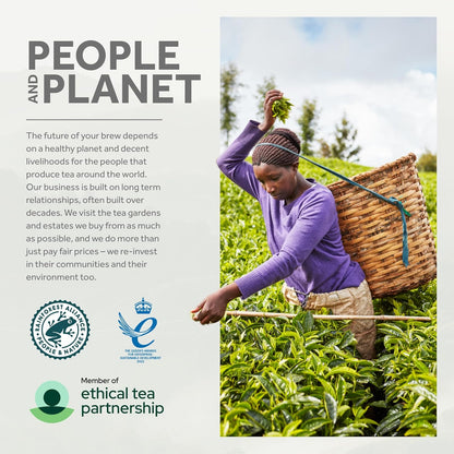 Yorkshire Tea Gold 80 Tea Bags - Pack of 5 (400 Tea Bags Total)