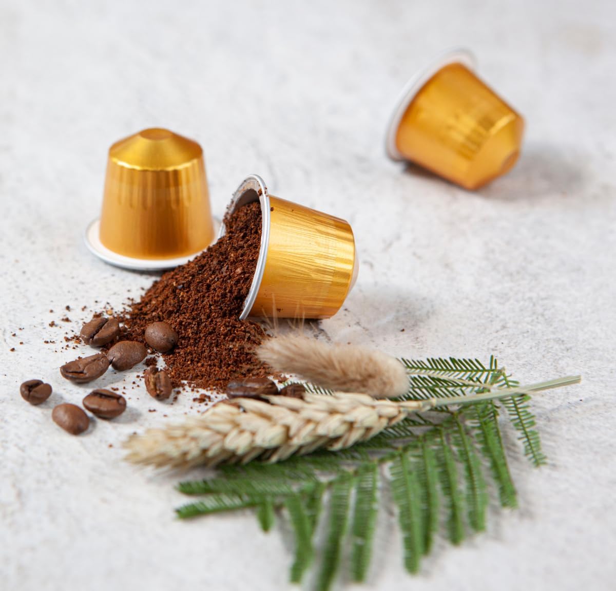 Blonde Roast Coffee Pods | 100 Nespresso Compatible Capsules | Fair Trade Napoli Espresso